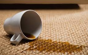 carpet upholstery cleaning Doncaster