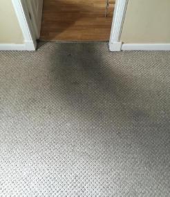 local carpet cleaners Doncaster