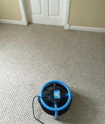 best carpet cleaners Doncaster