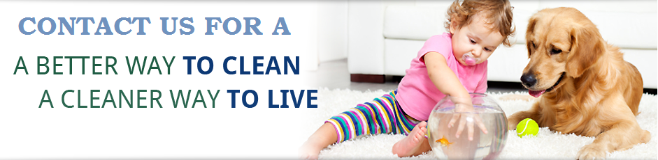 carpet cleaners upholstery cleaning Doncaster